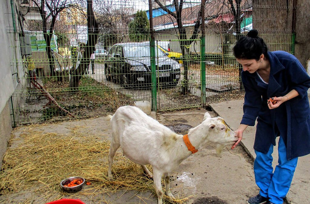 Vizita la oraș – un pacient din provincie